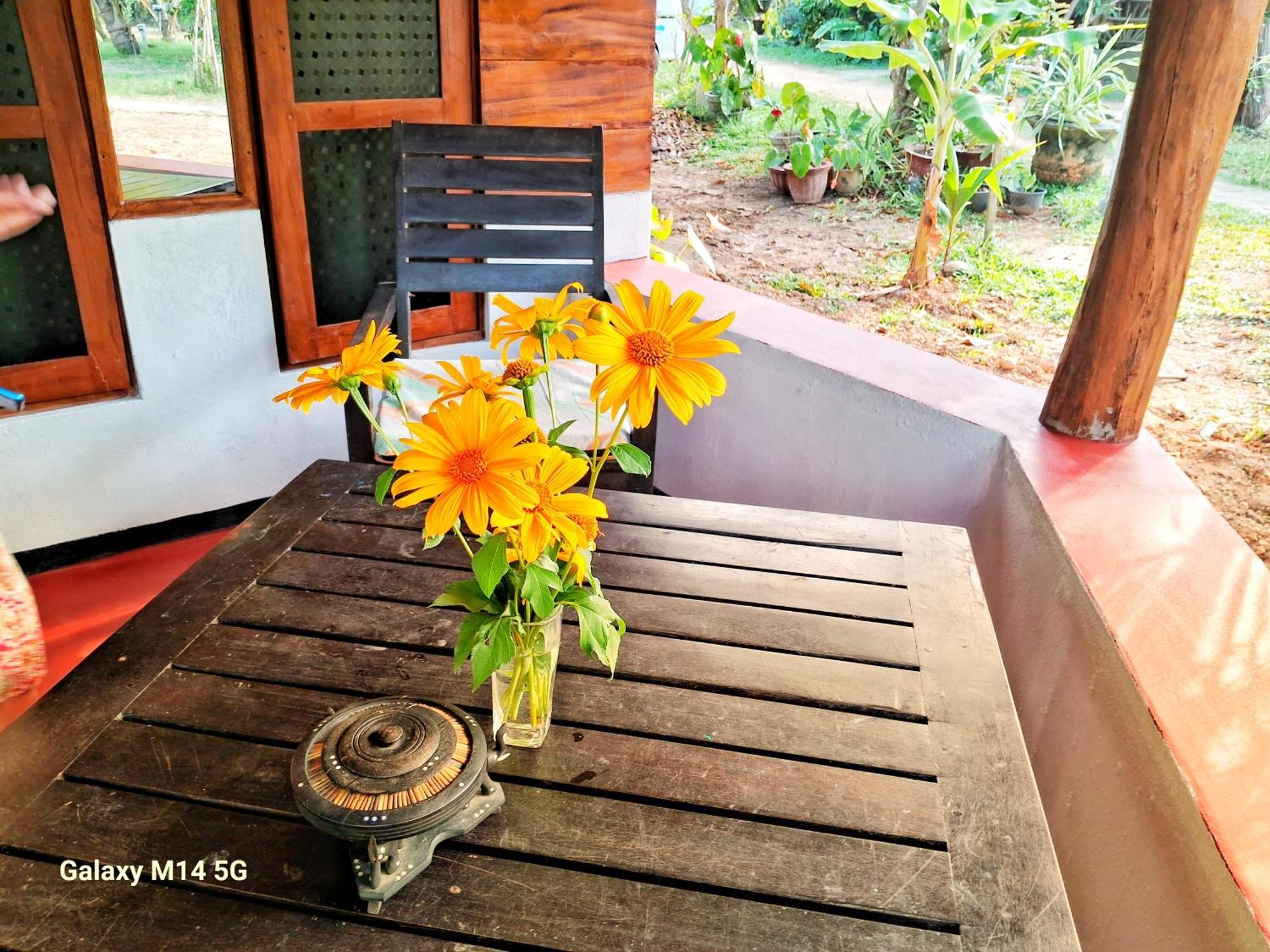 Sea Sound Cabana & Restaurant Tangalle Eksteriør bilde